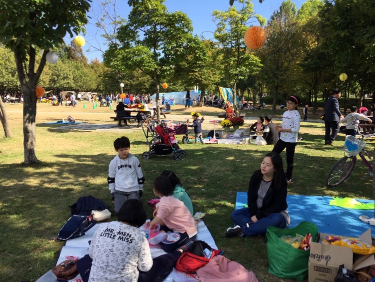 사진