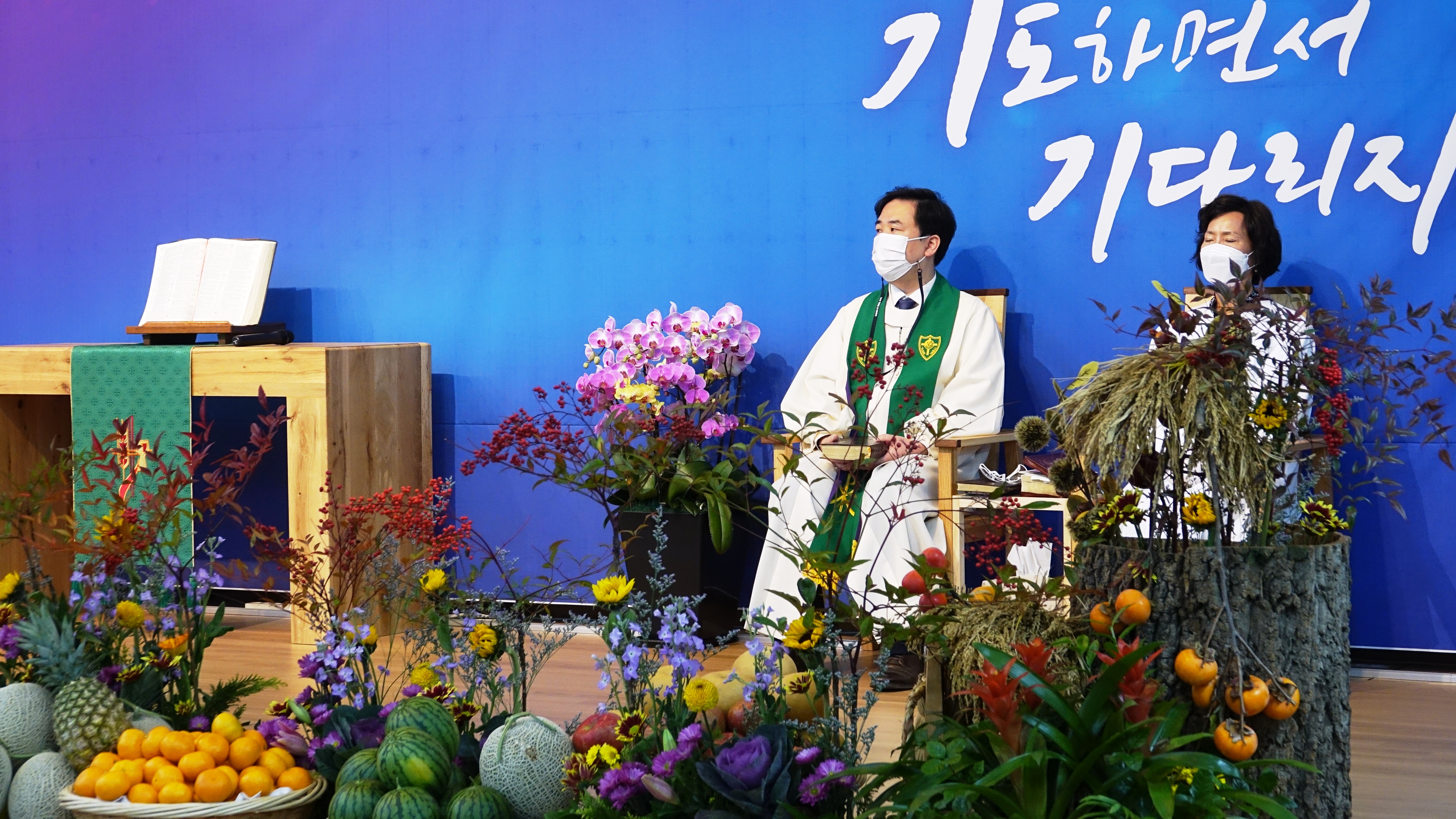 사진