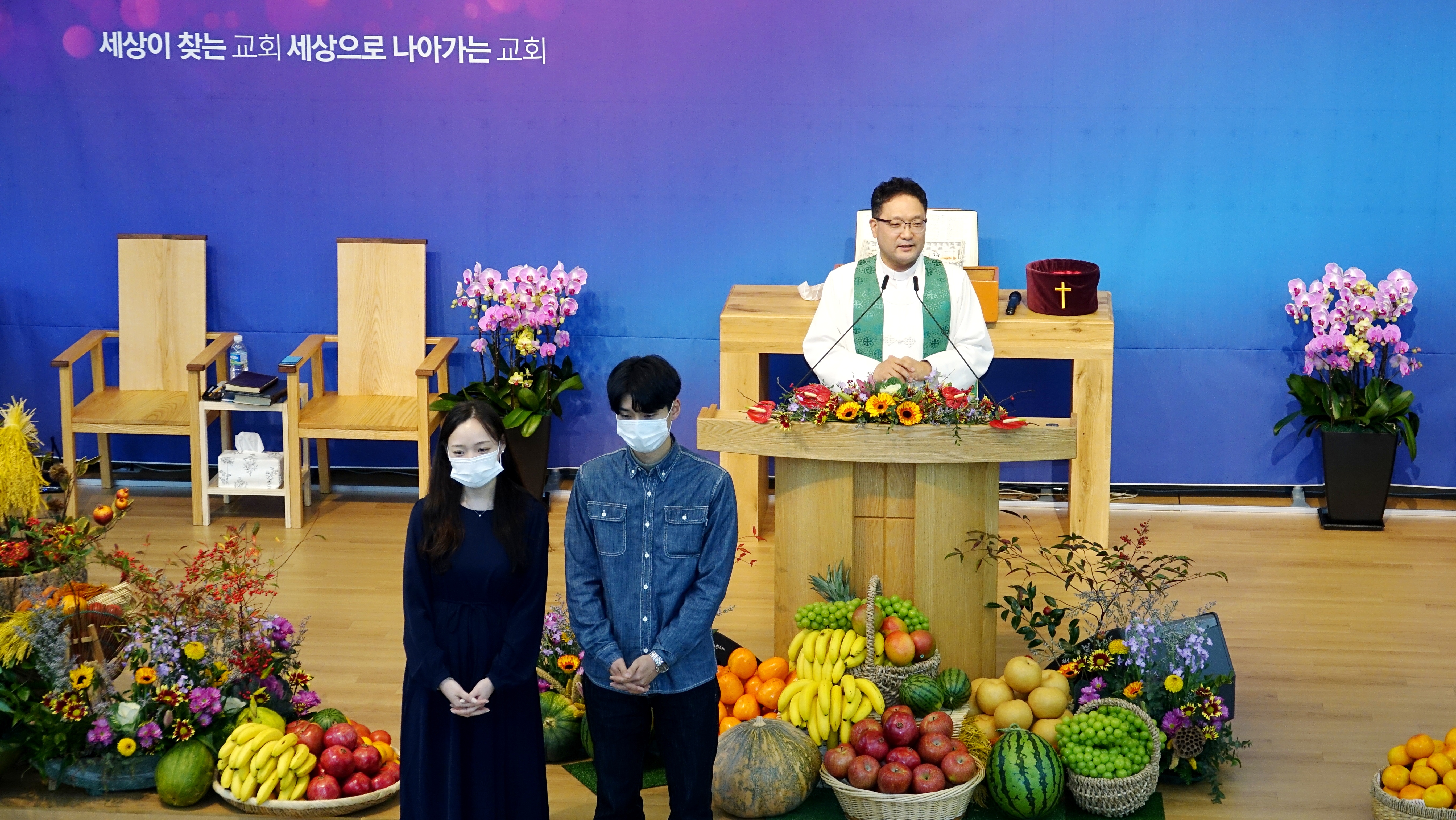 사진