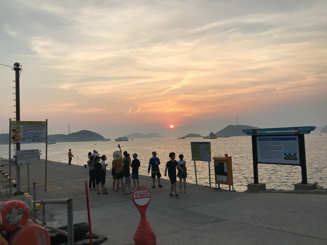 사진