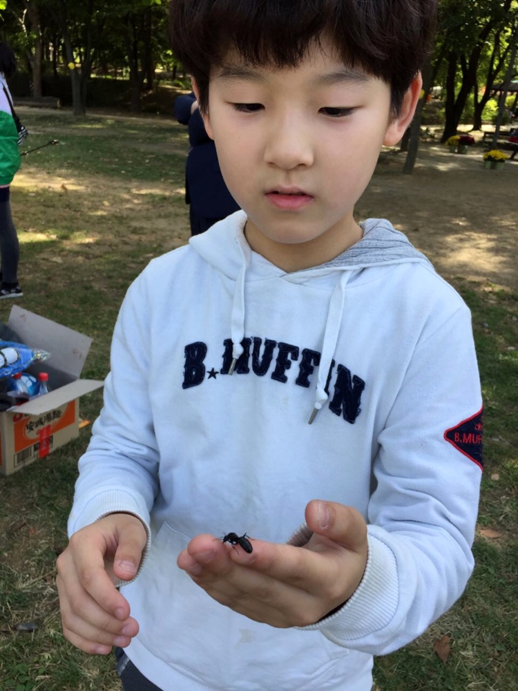 사진