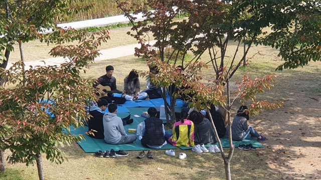 사진