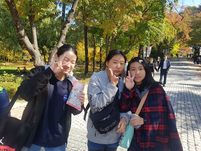 사진