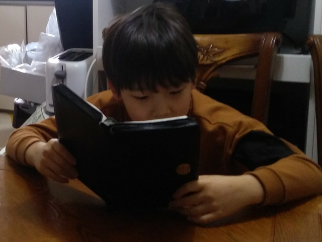 사진