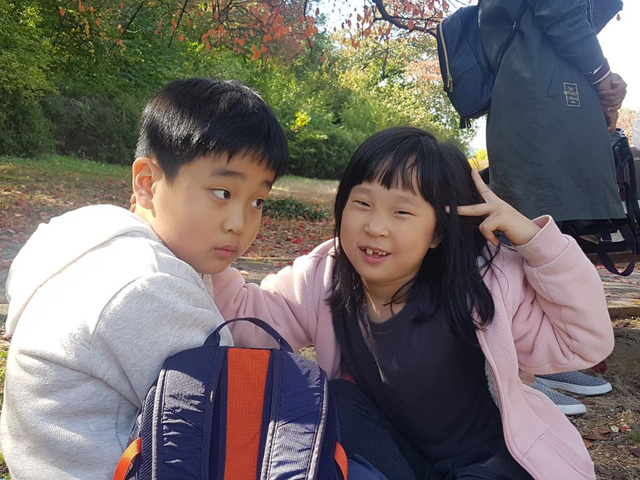 사진