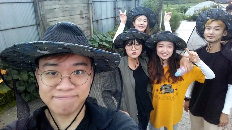 사진