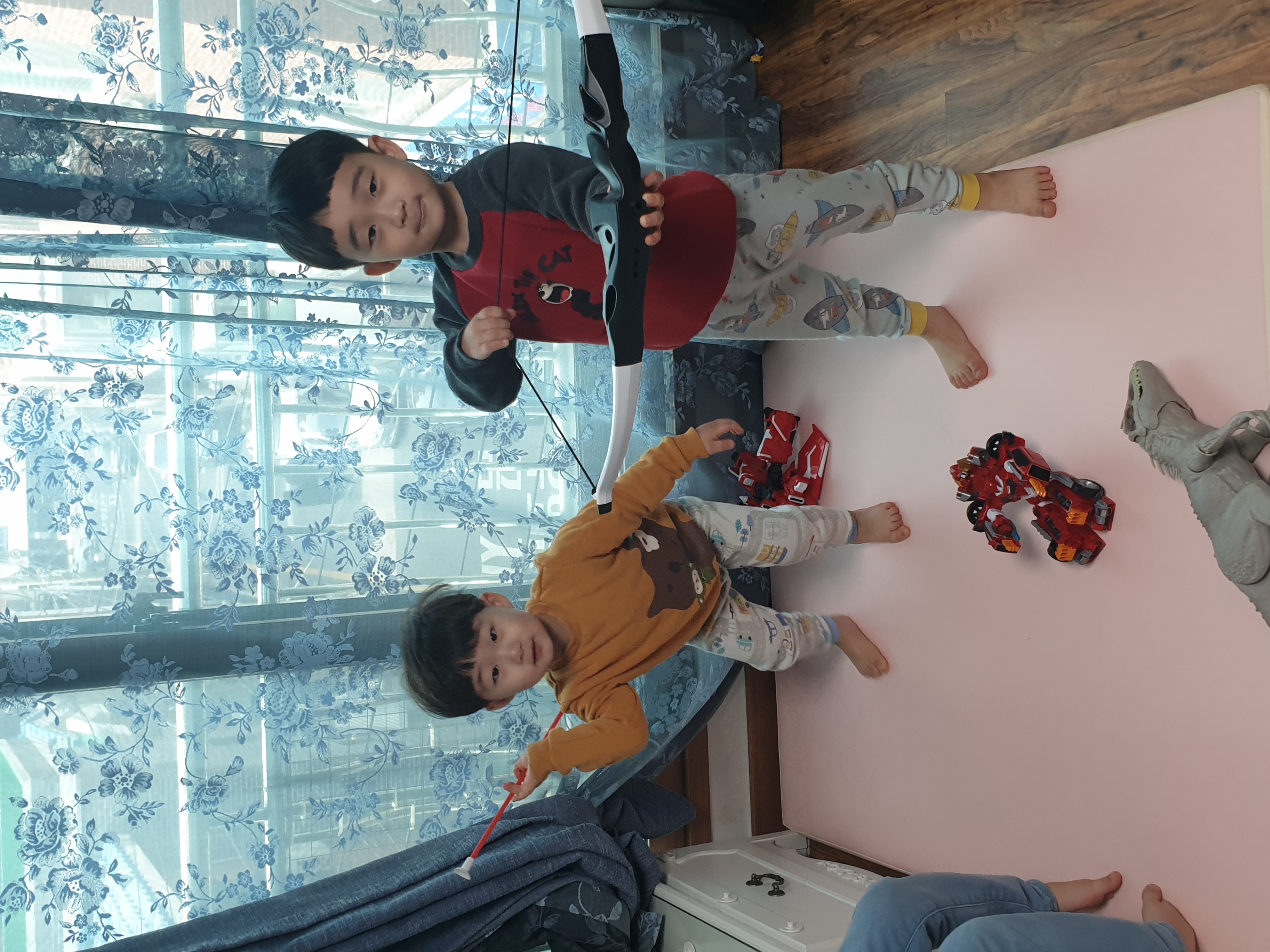 사진