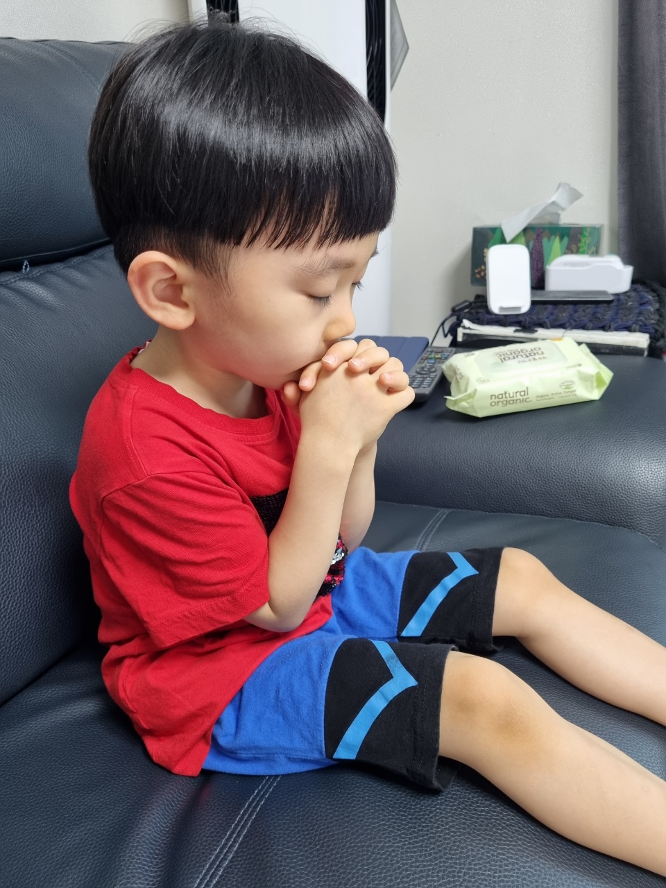 사진