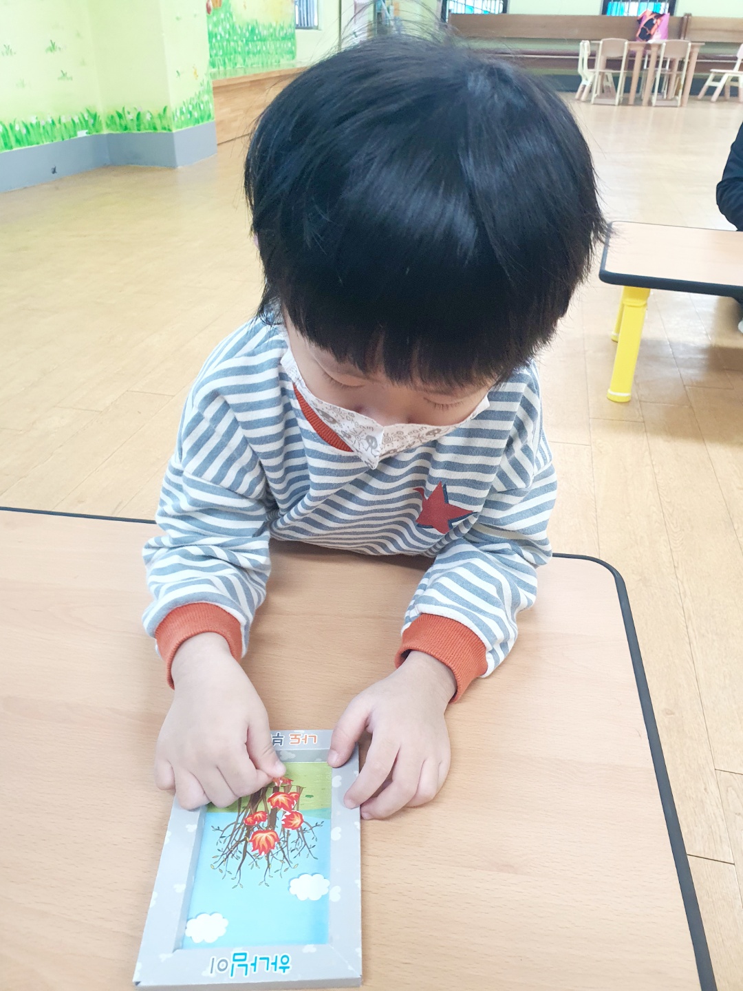 사진