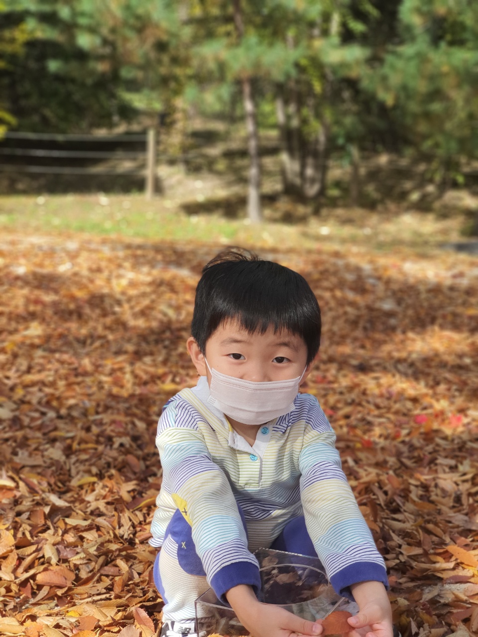 사진