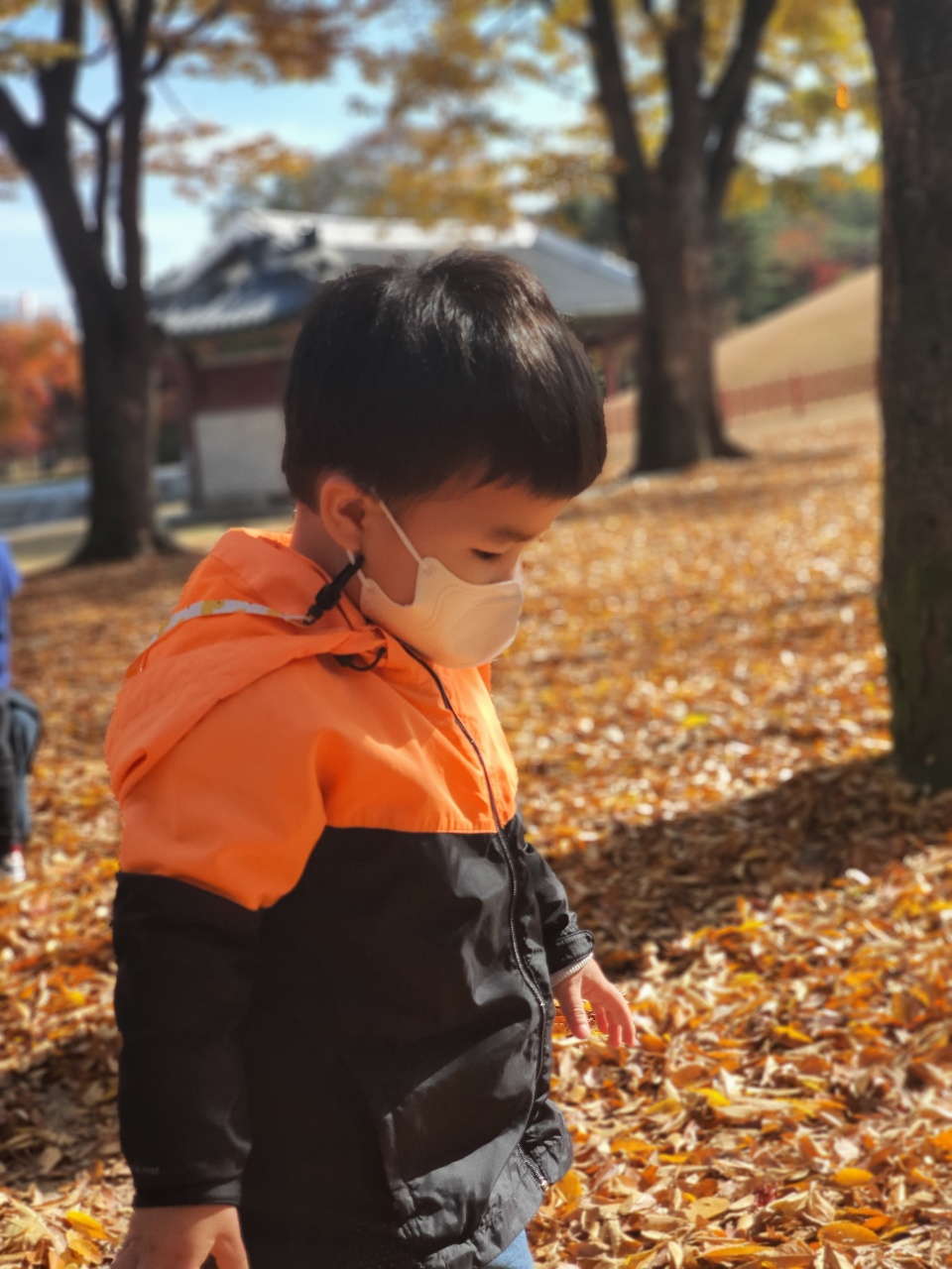 사진