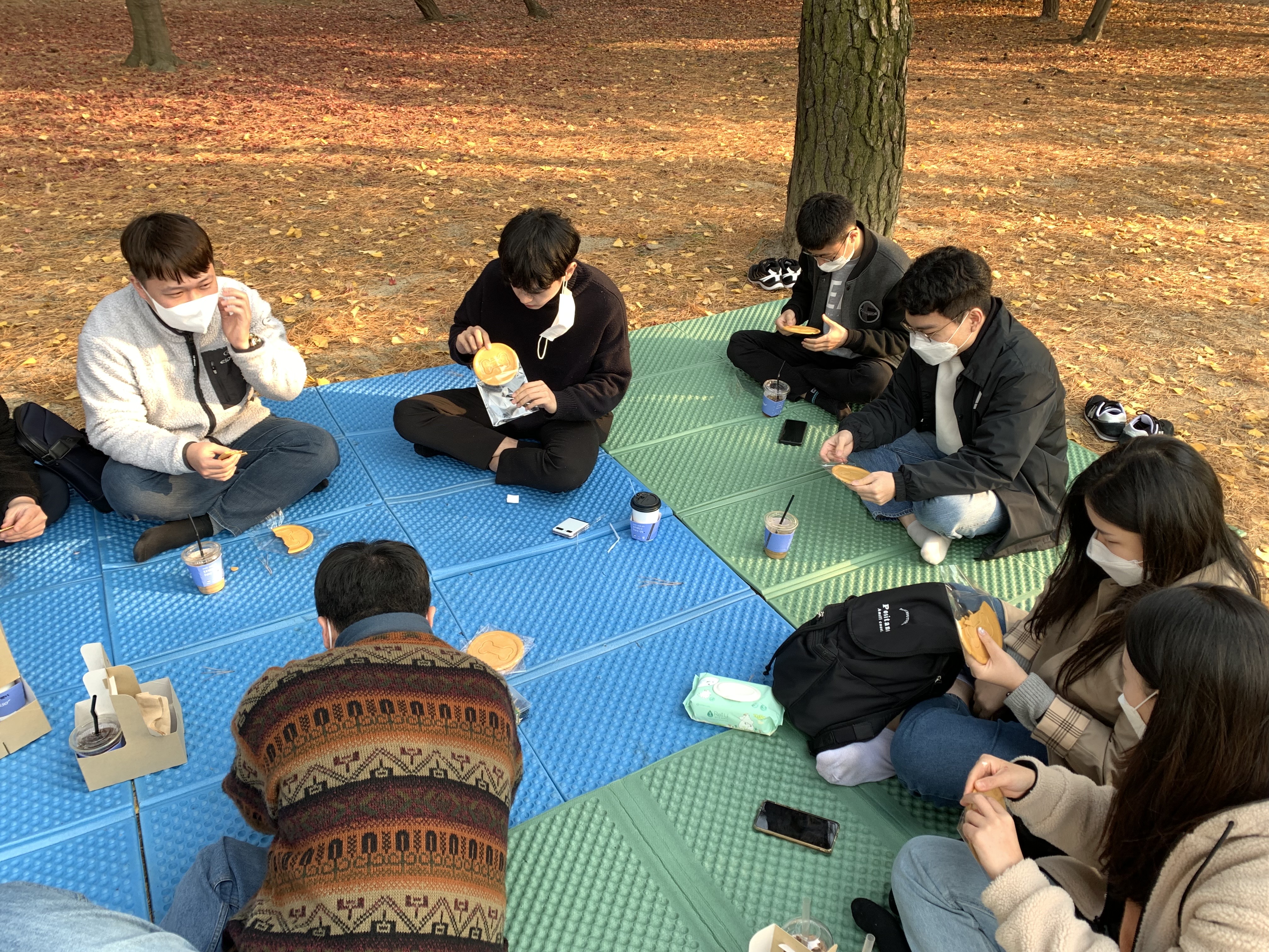 사진