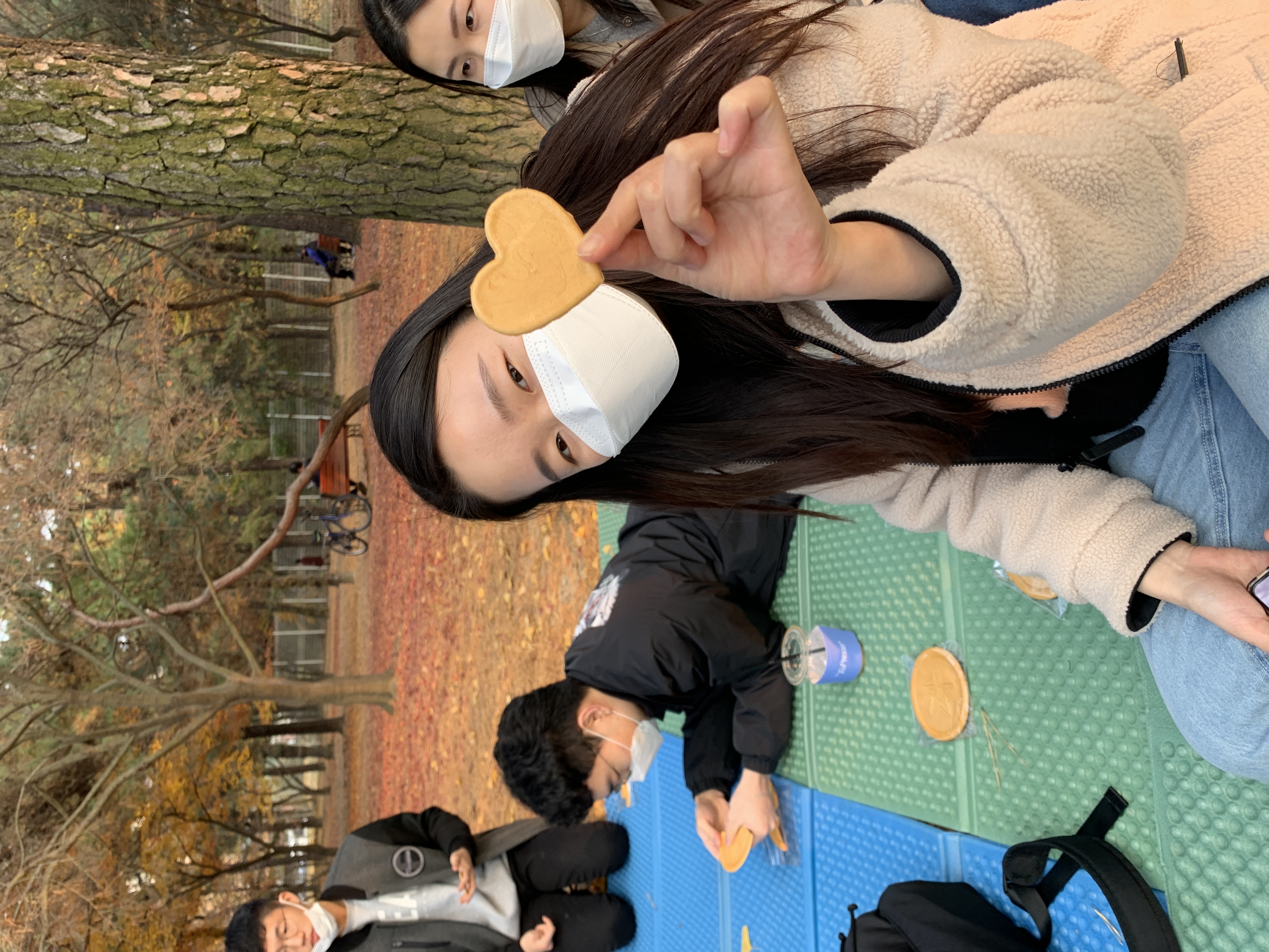 사진