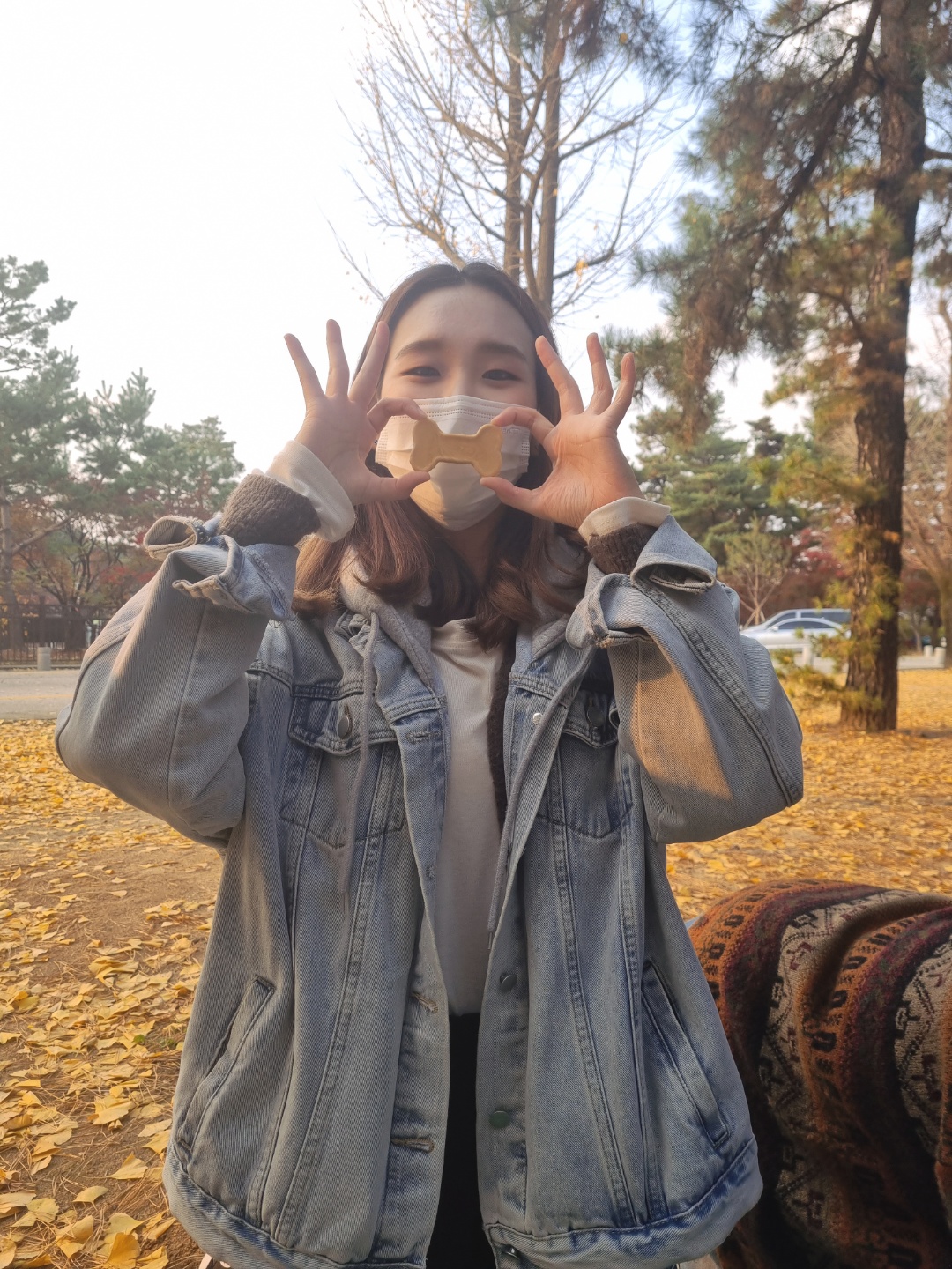 사진