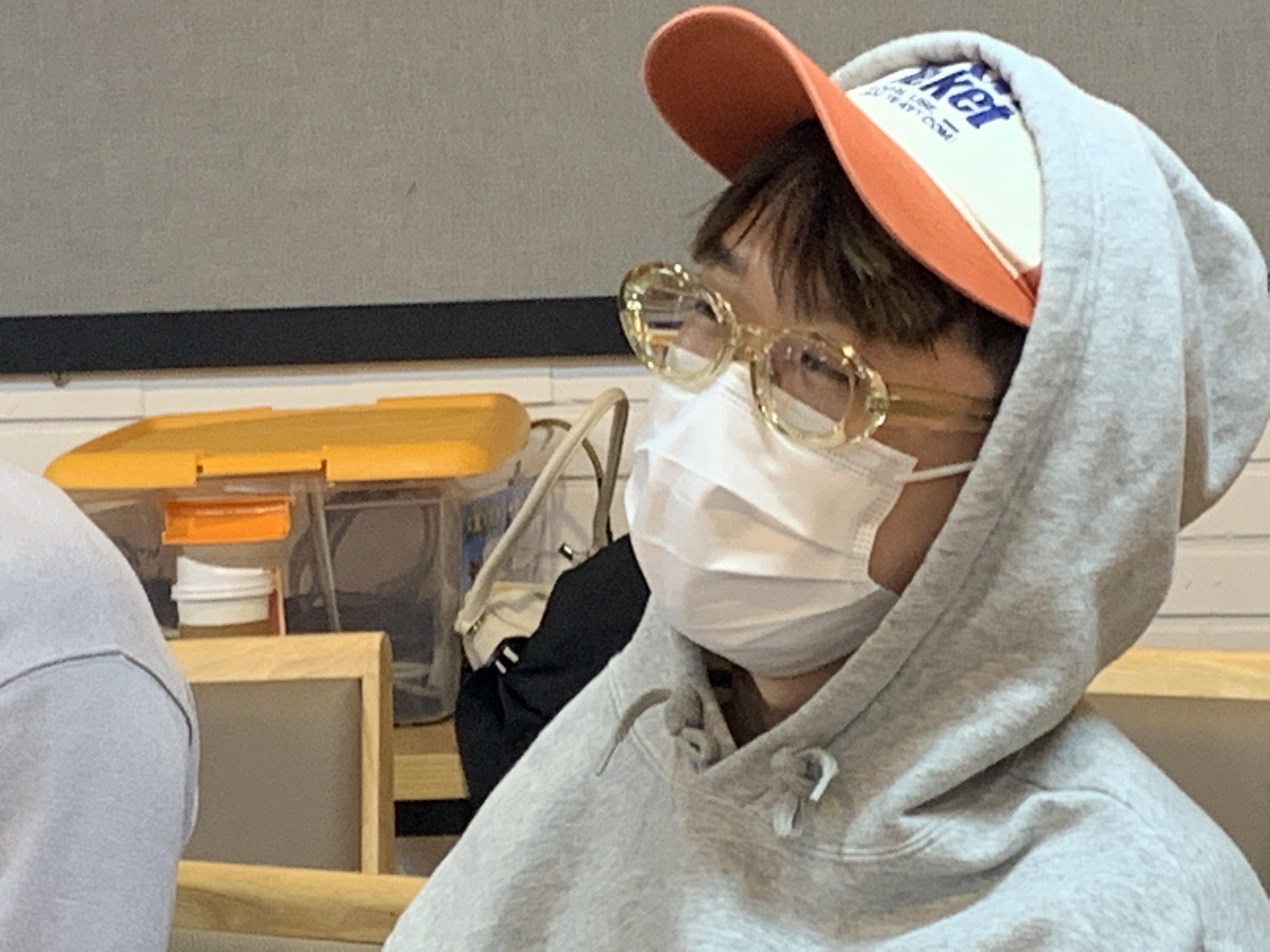 사진