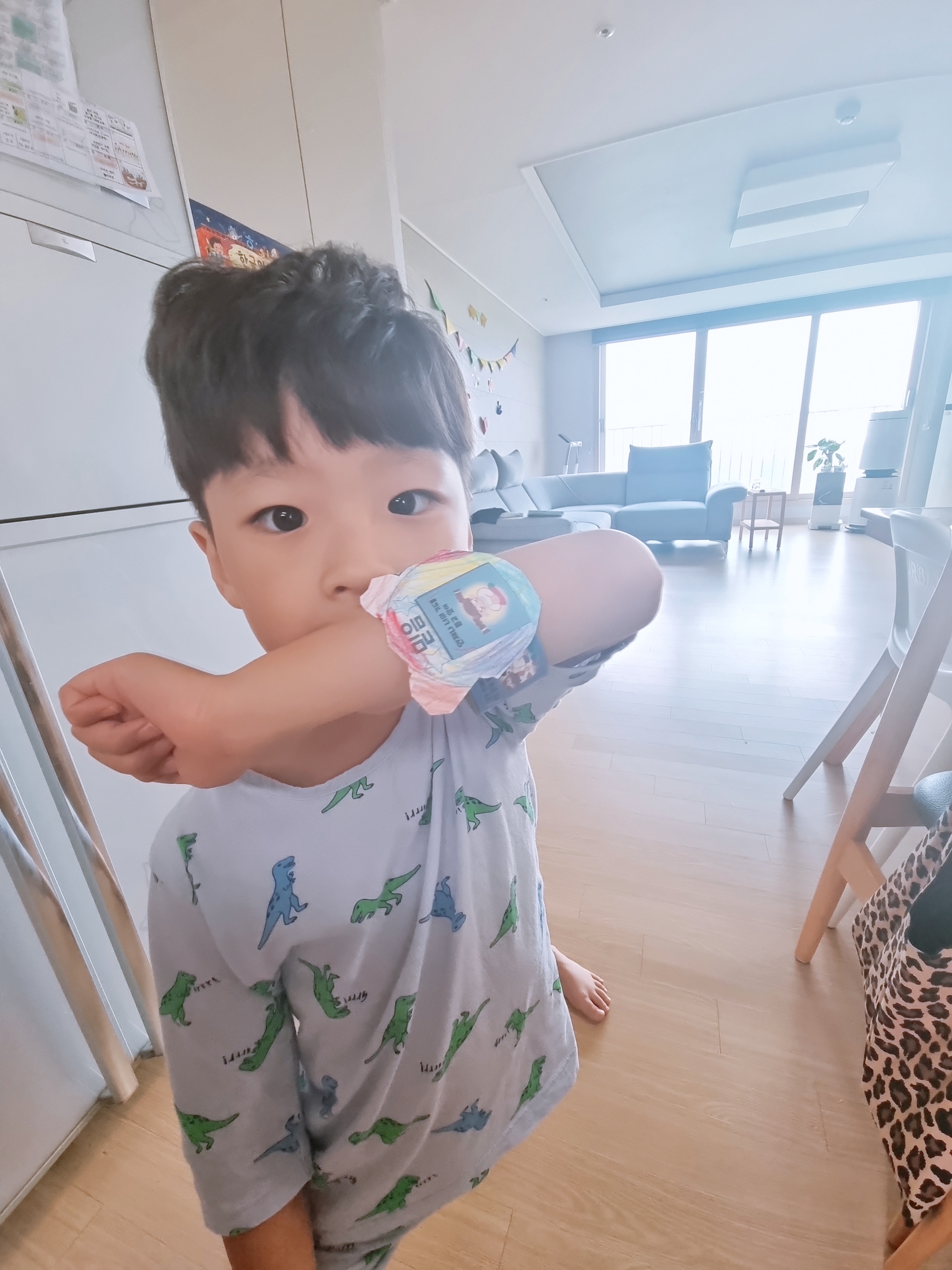 사진