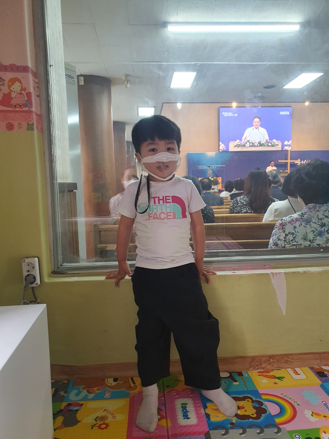 사진