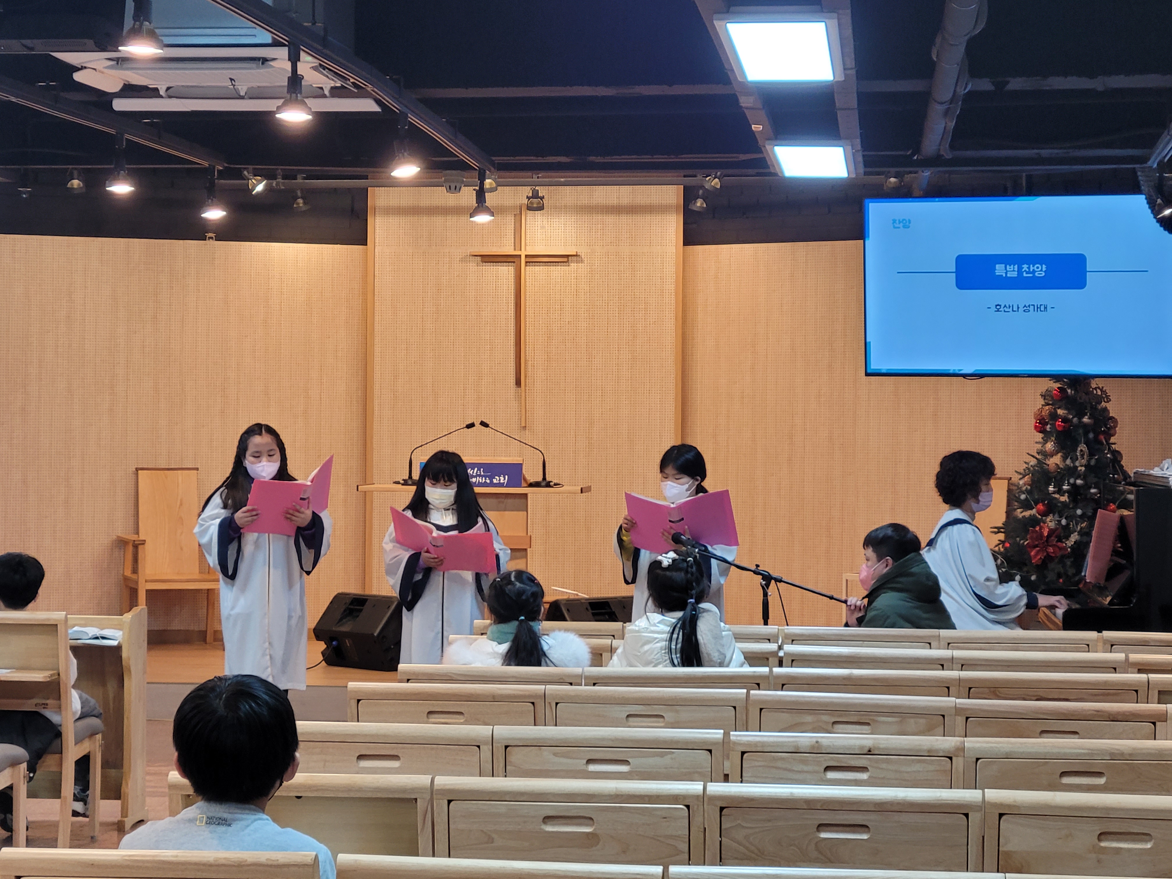 사진