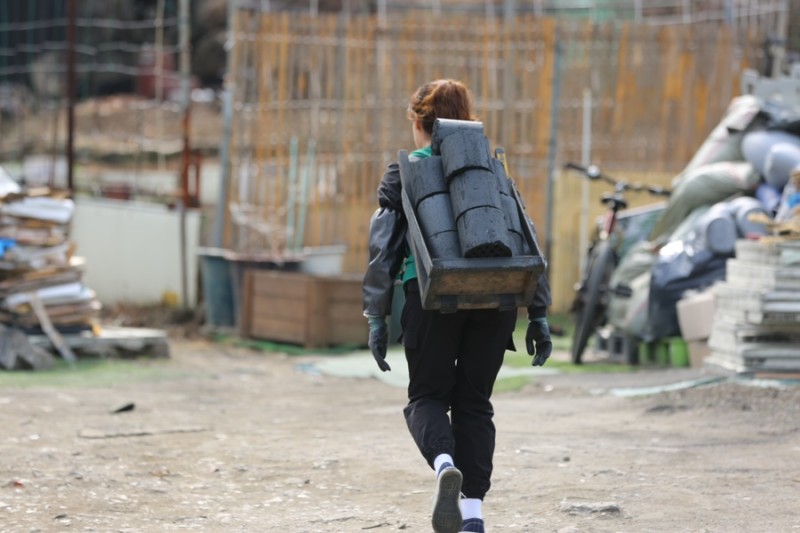 사진
