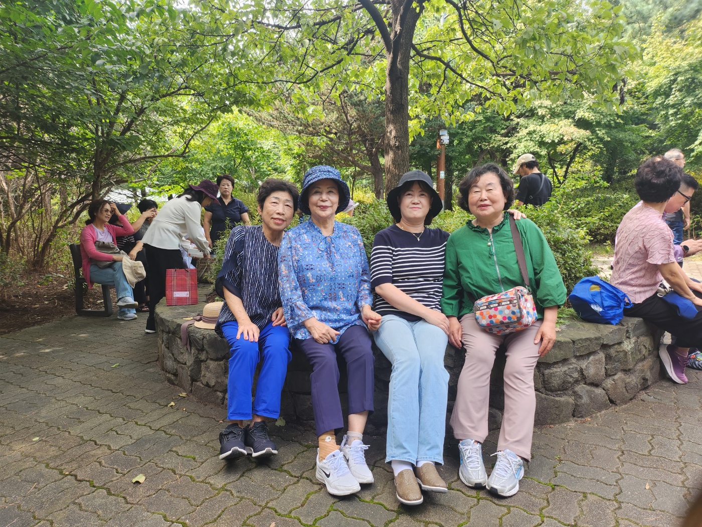 사진