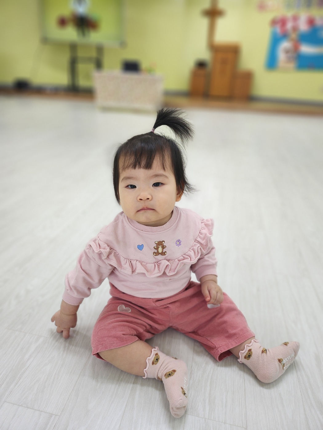 사진