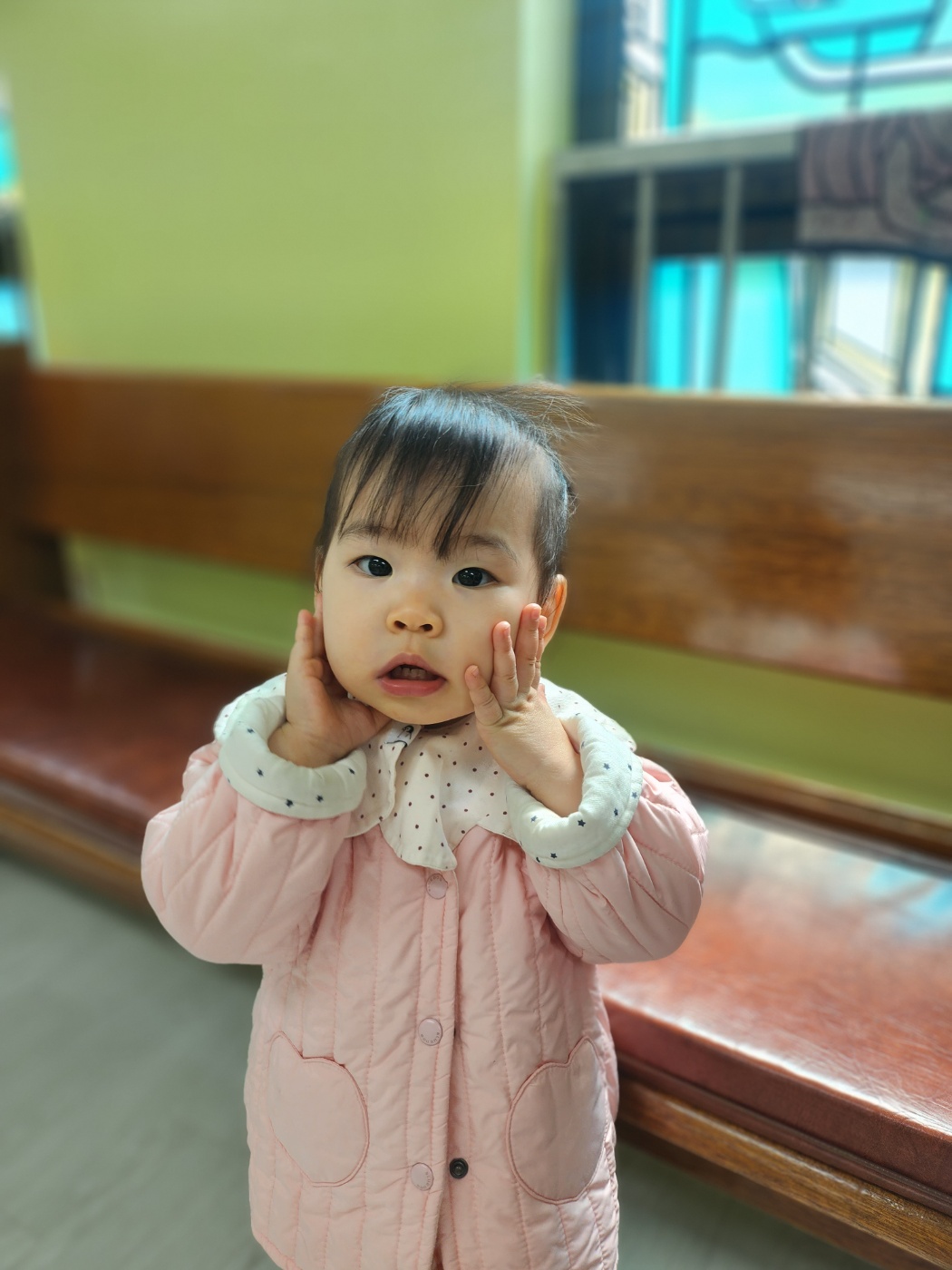사진