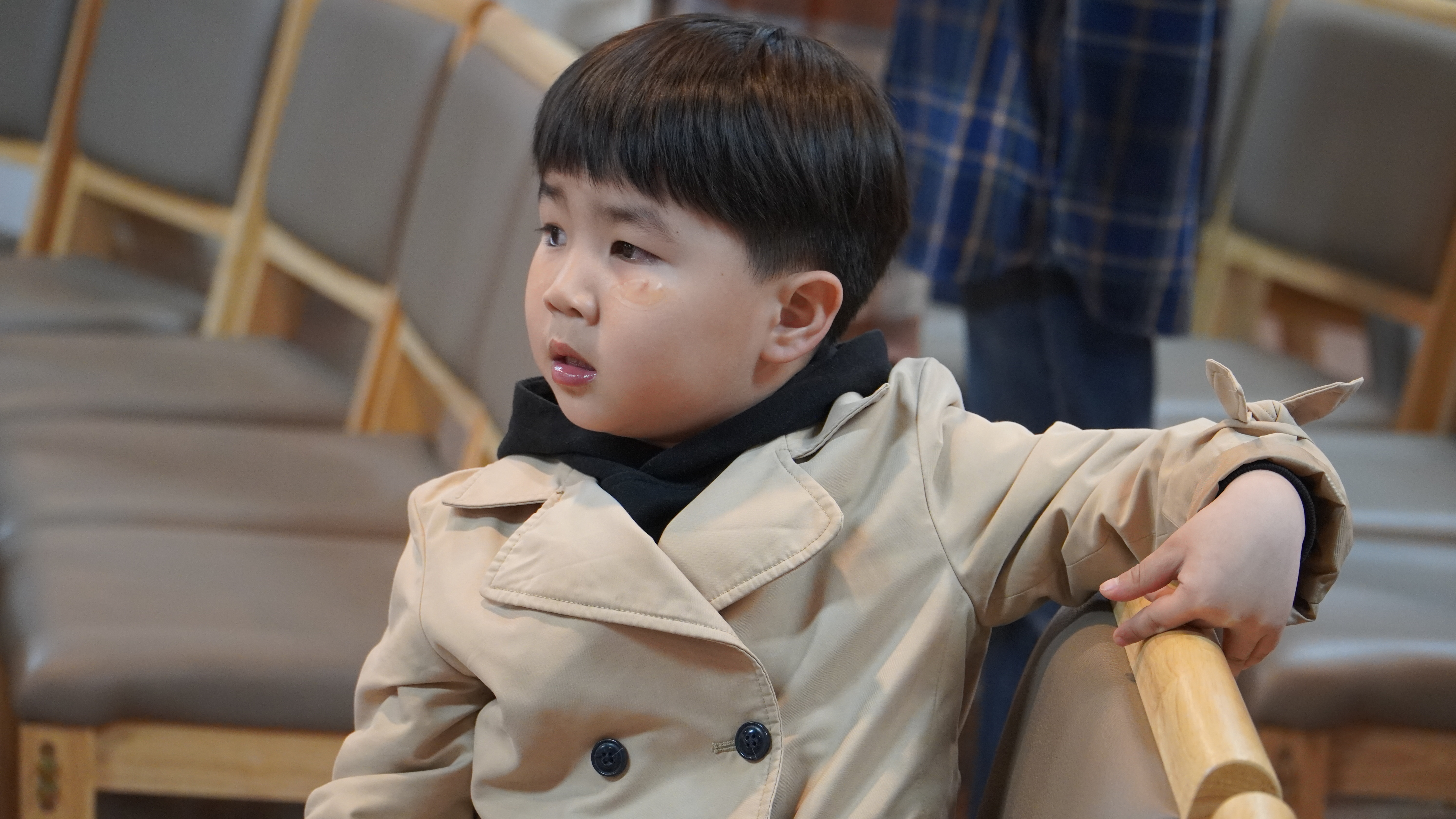 사진