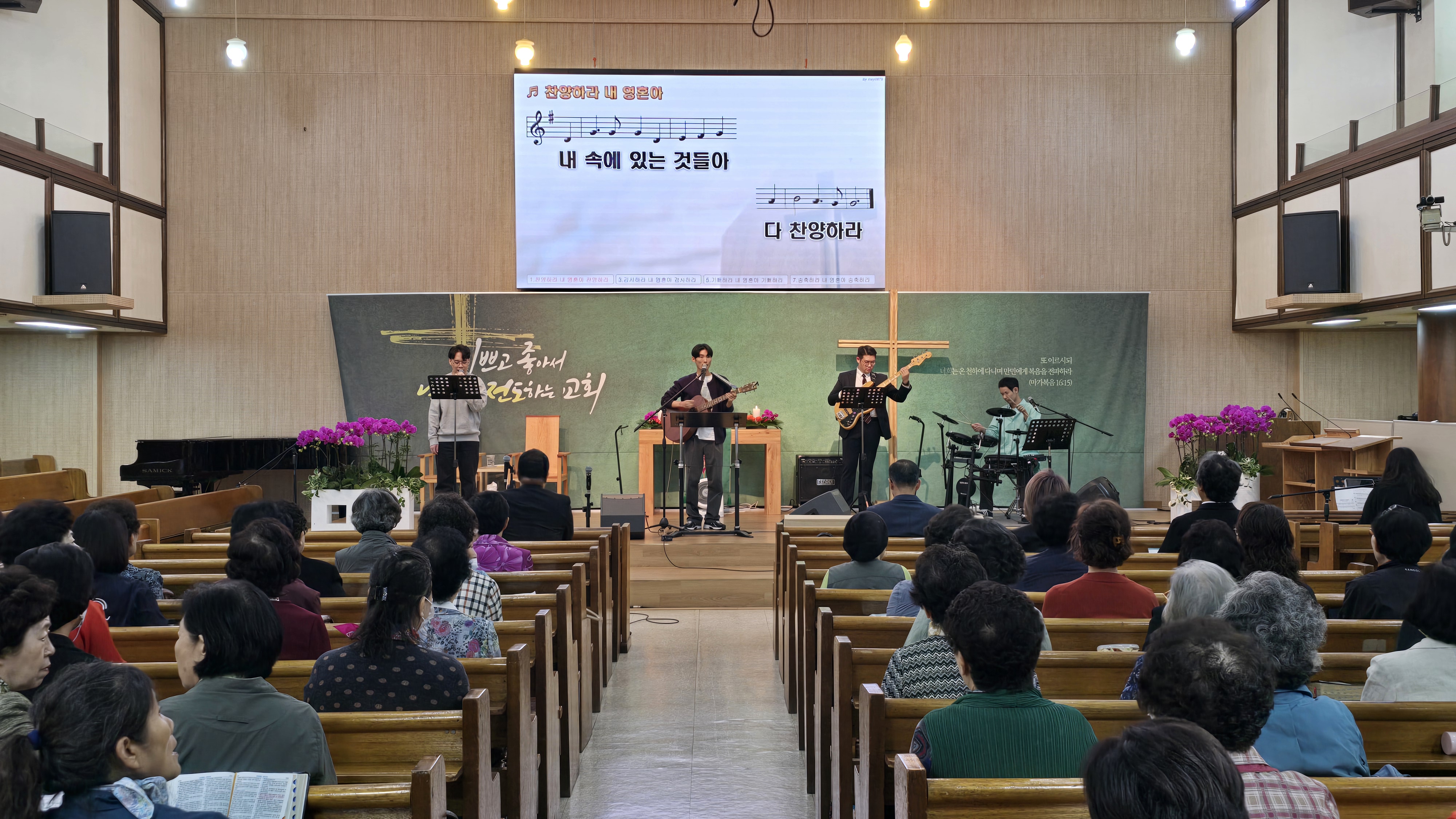 사진