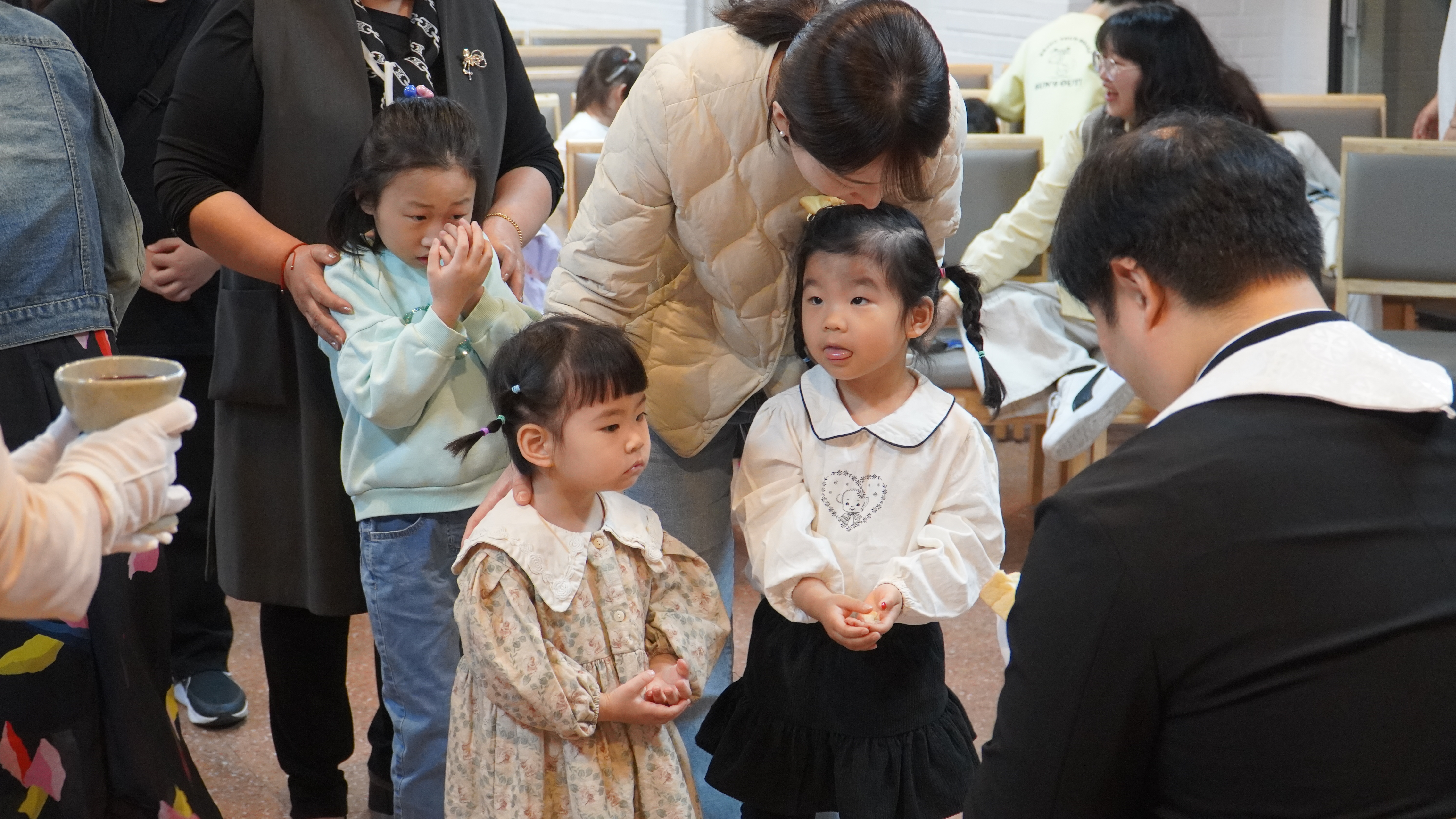 사진