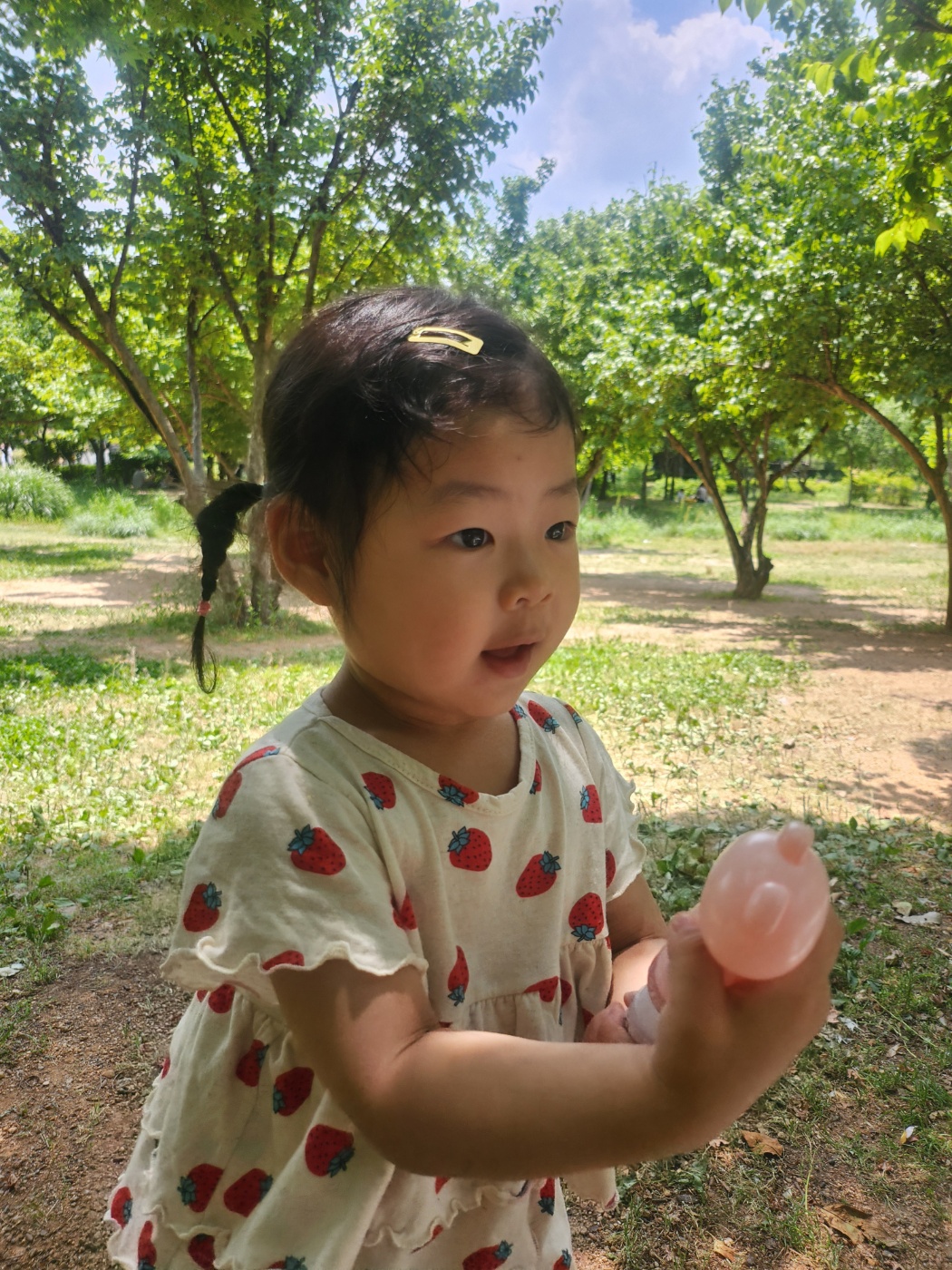 사진