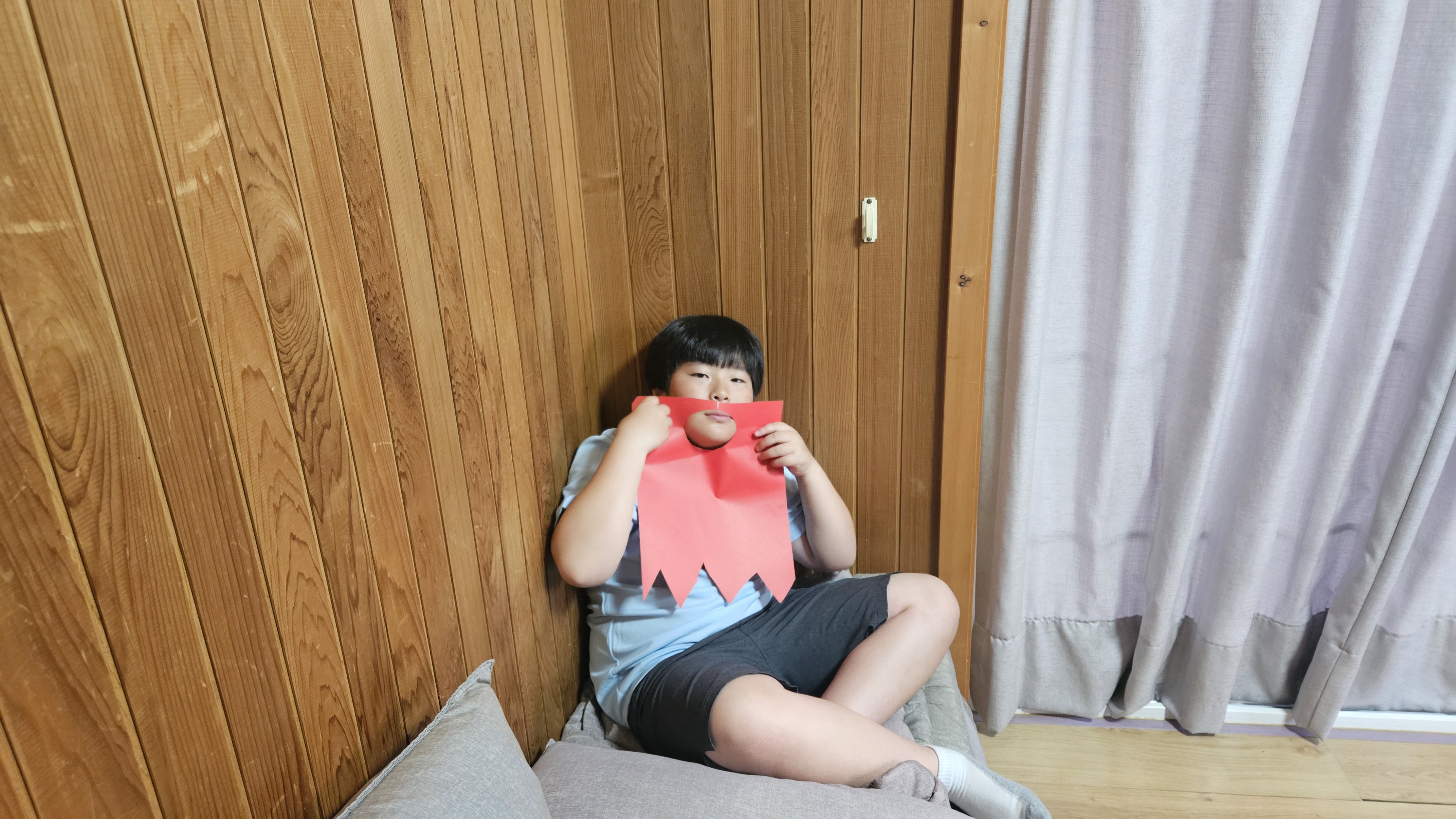 사진
