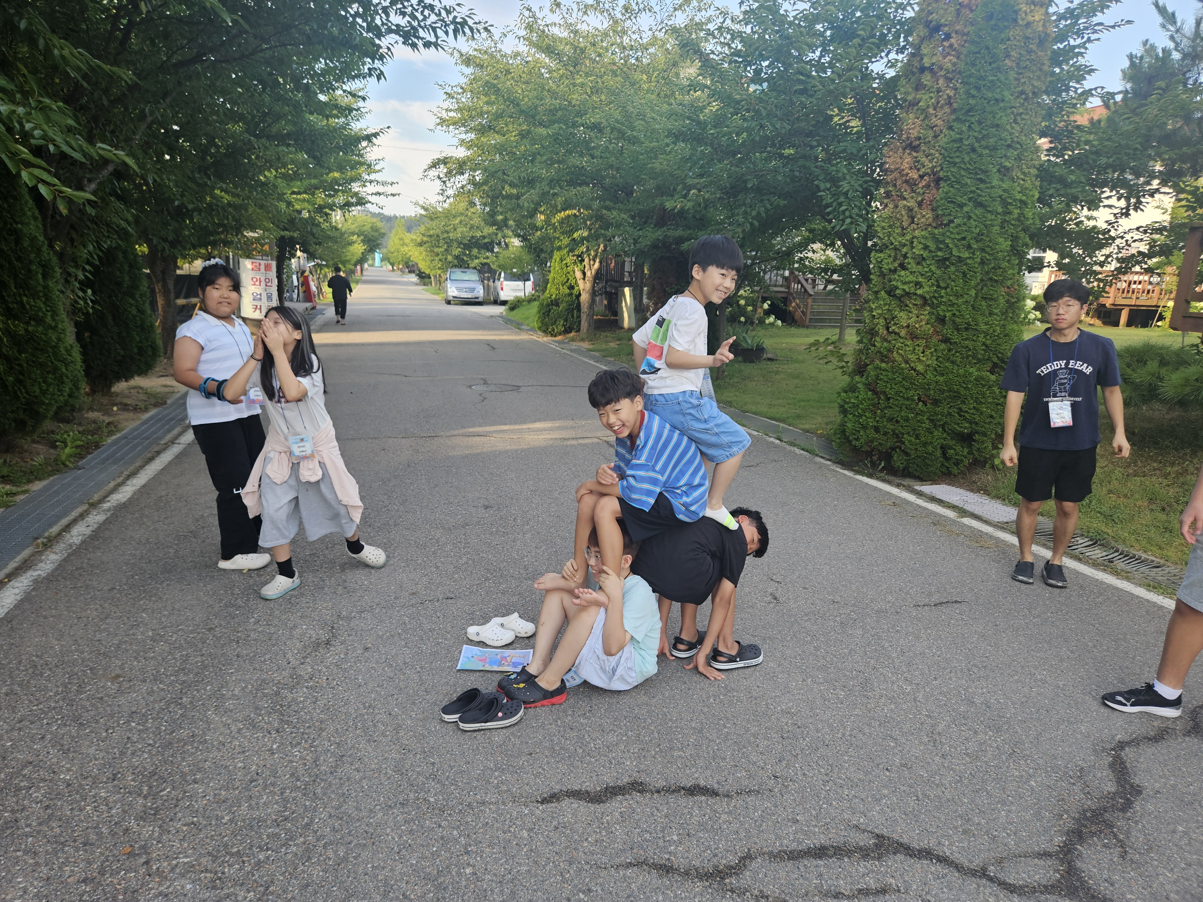 사진