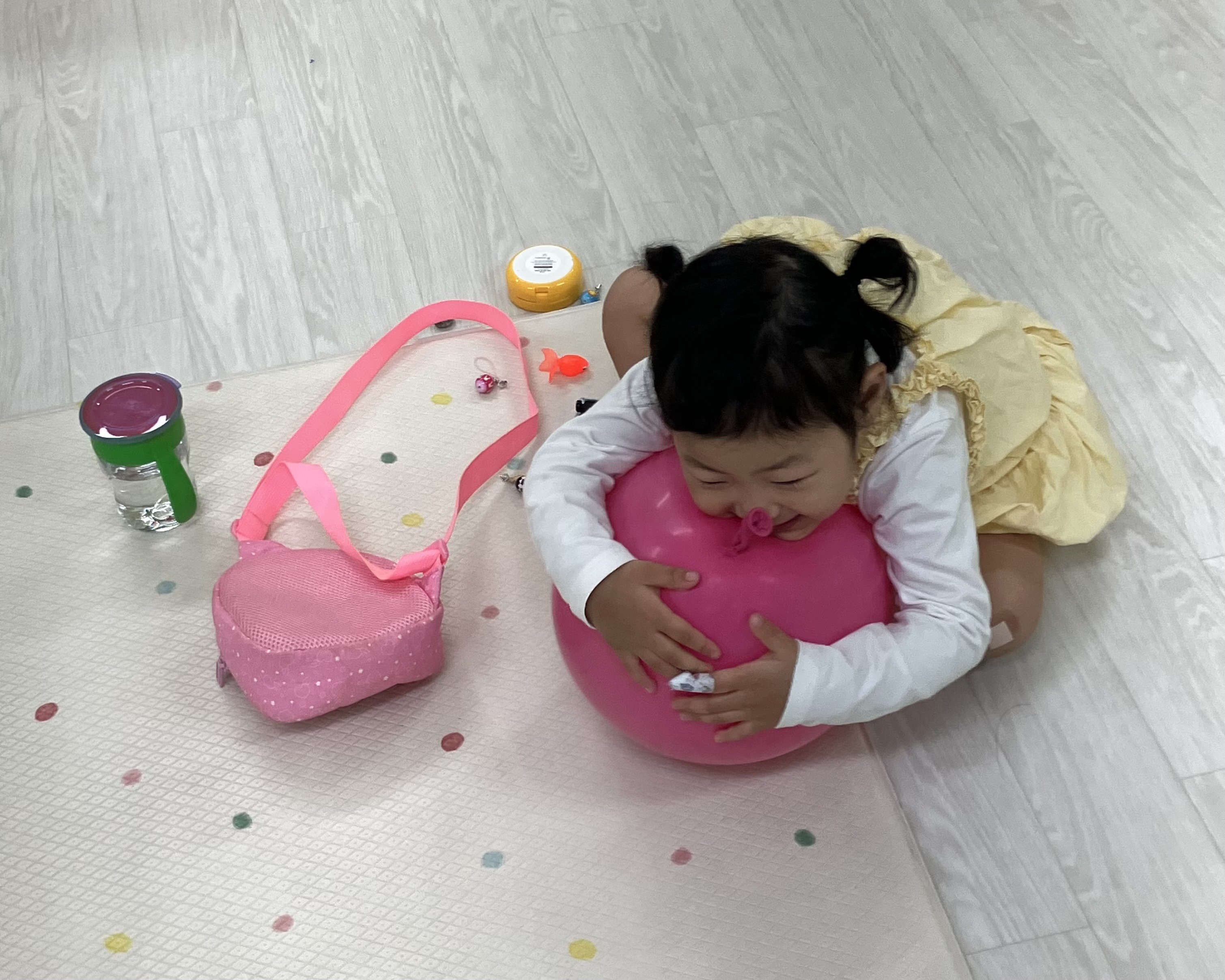 사진