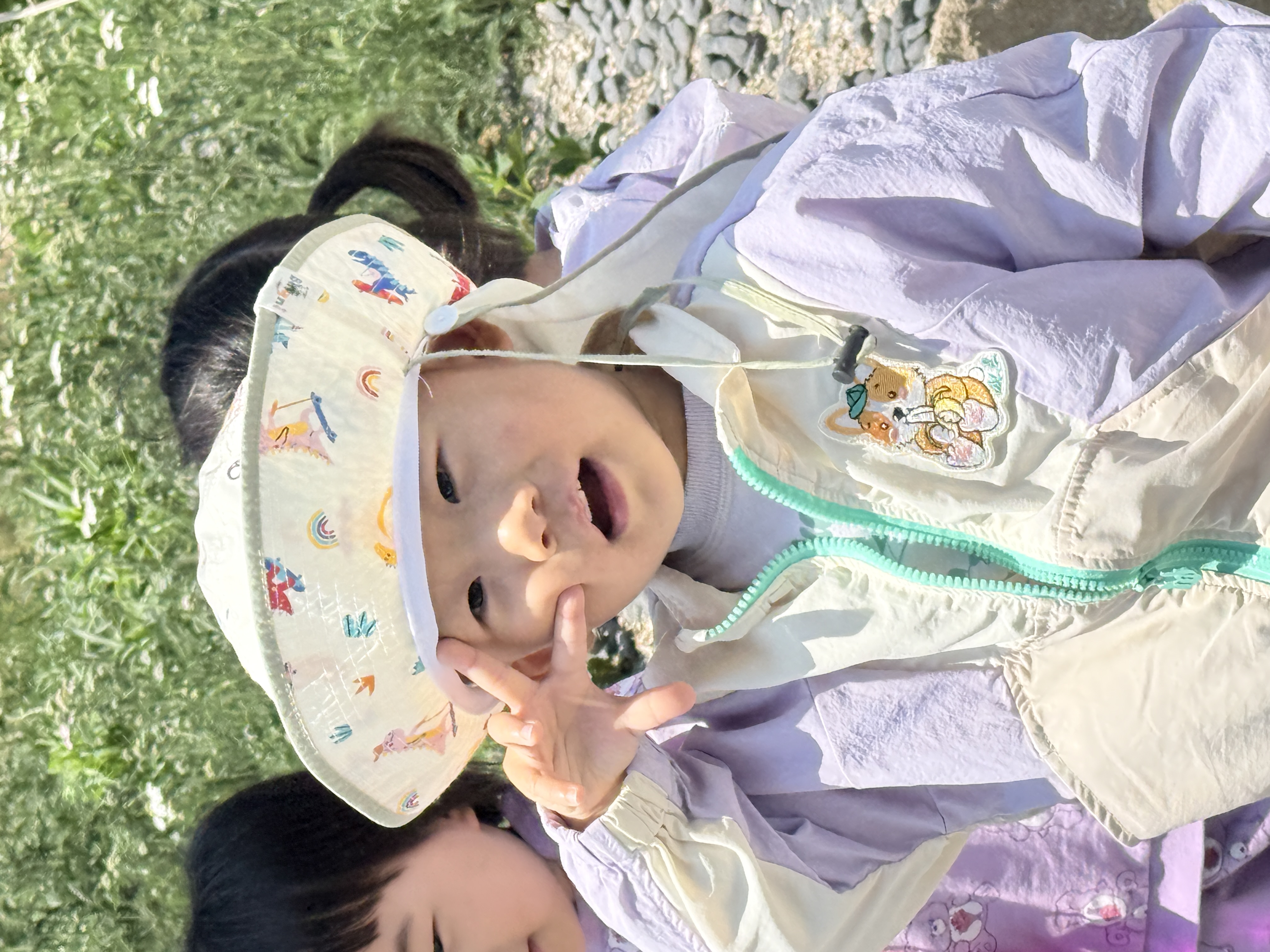 사진