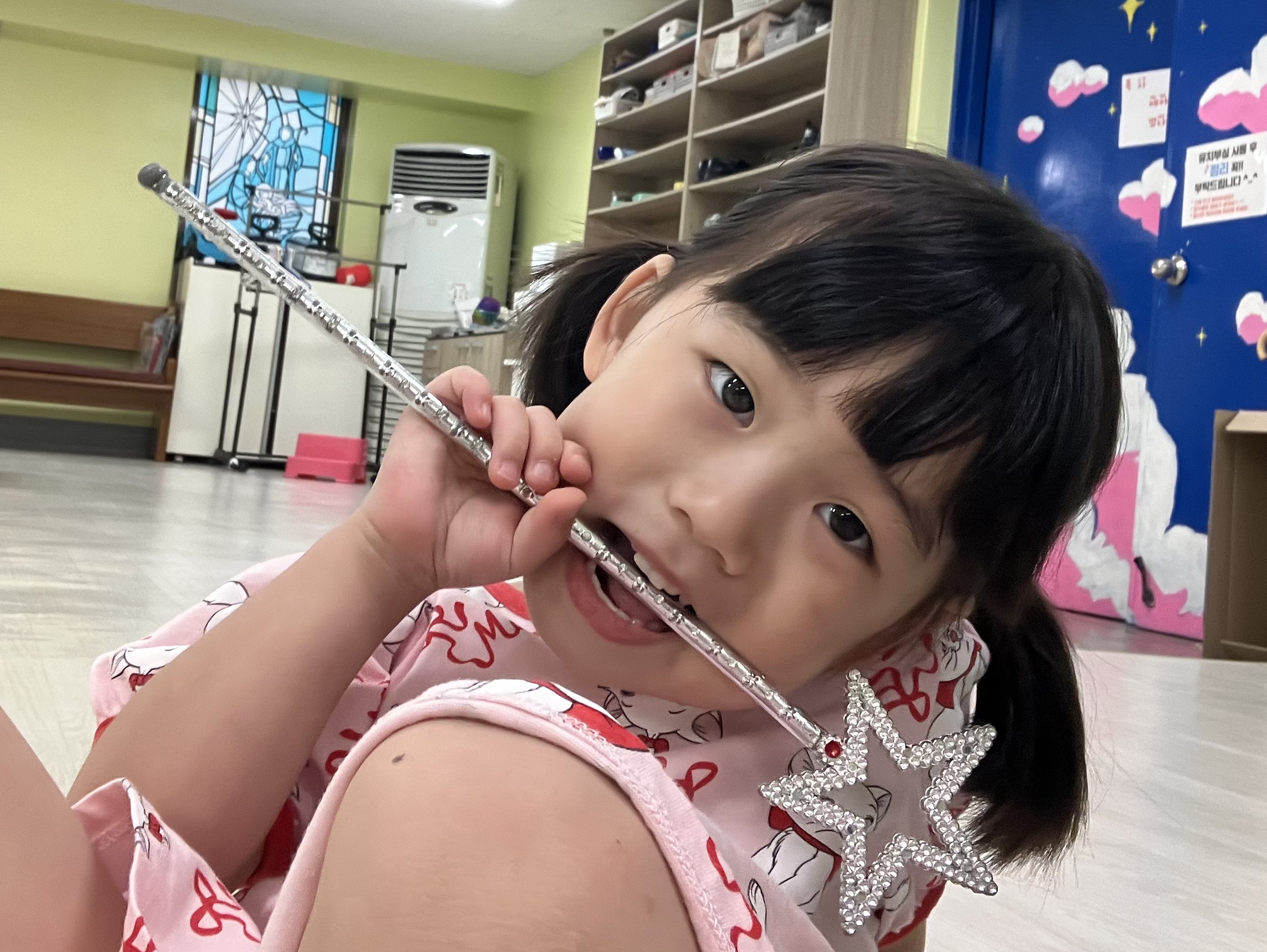 사진