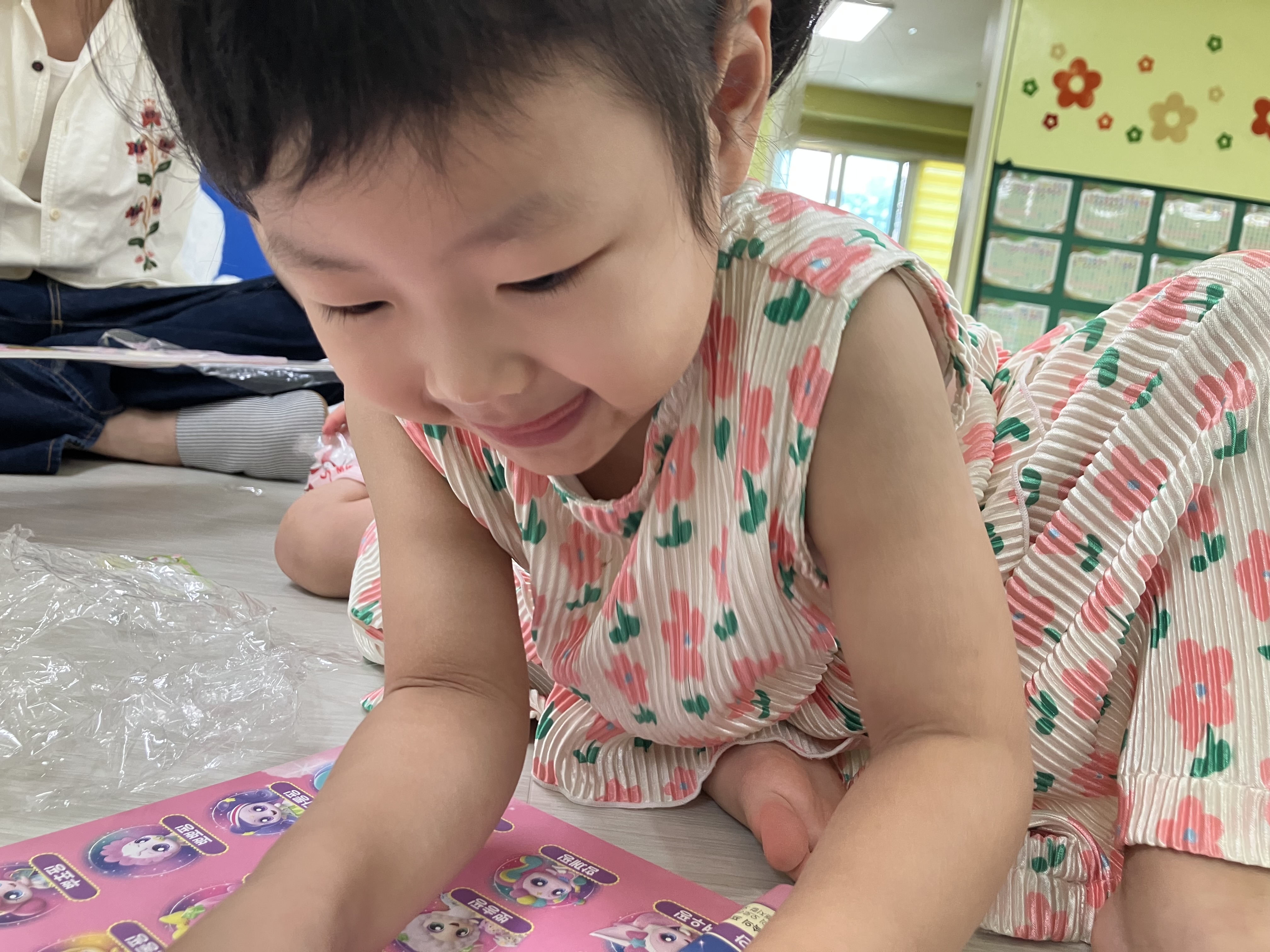 사진