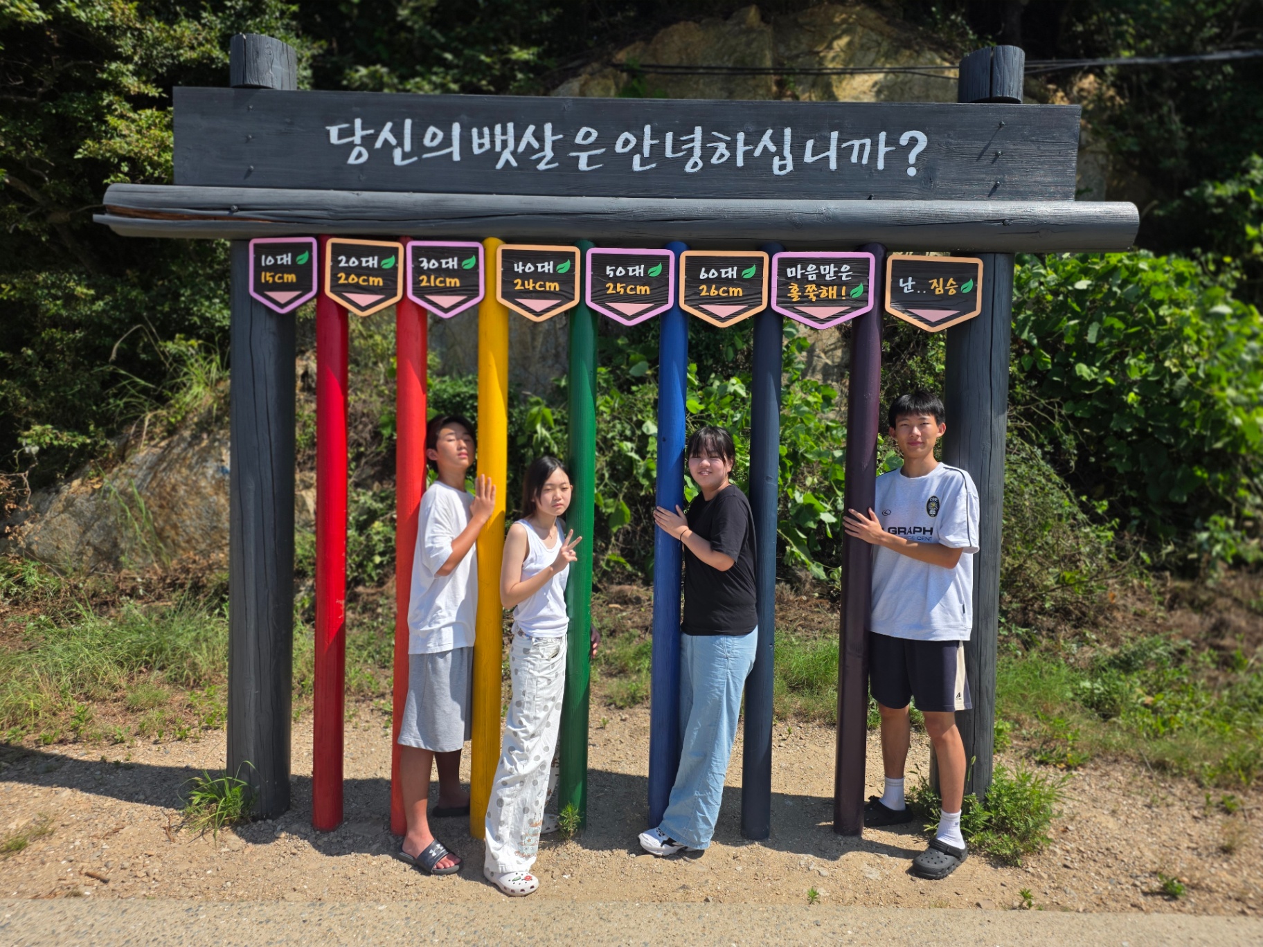 사진