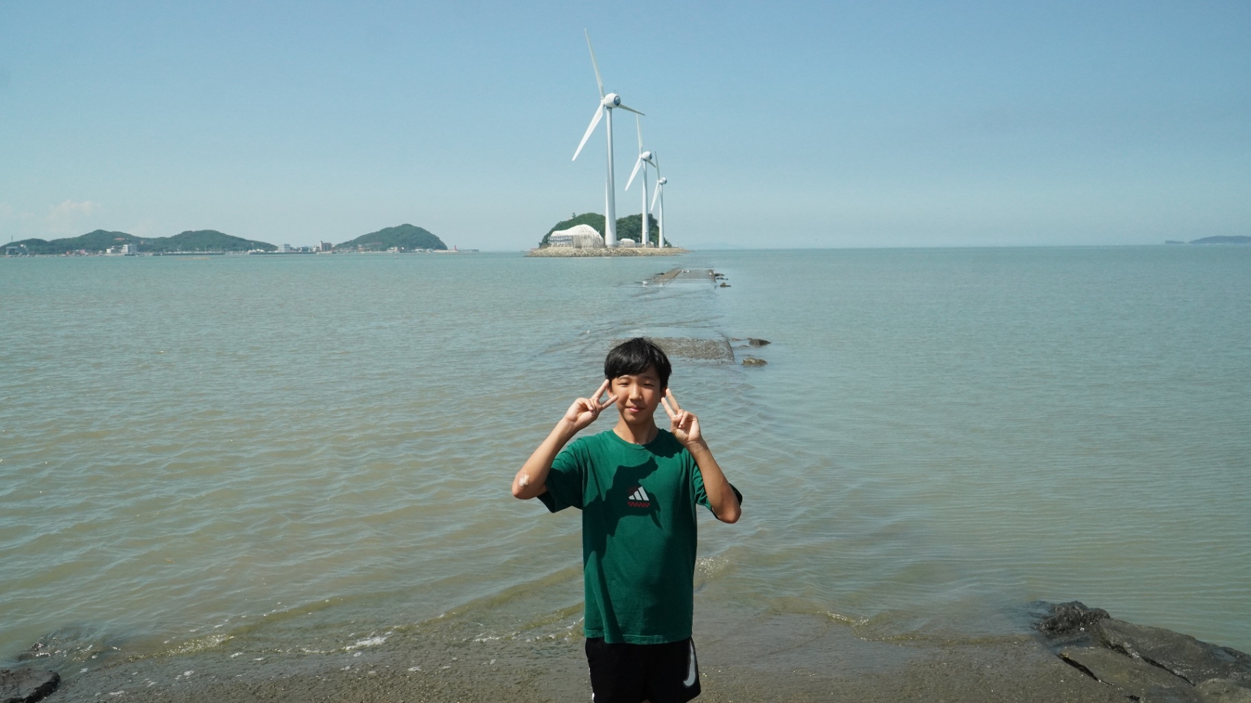 사진