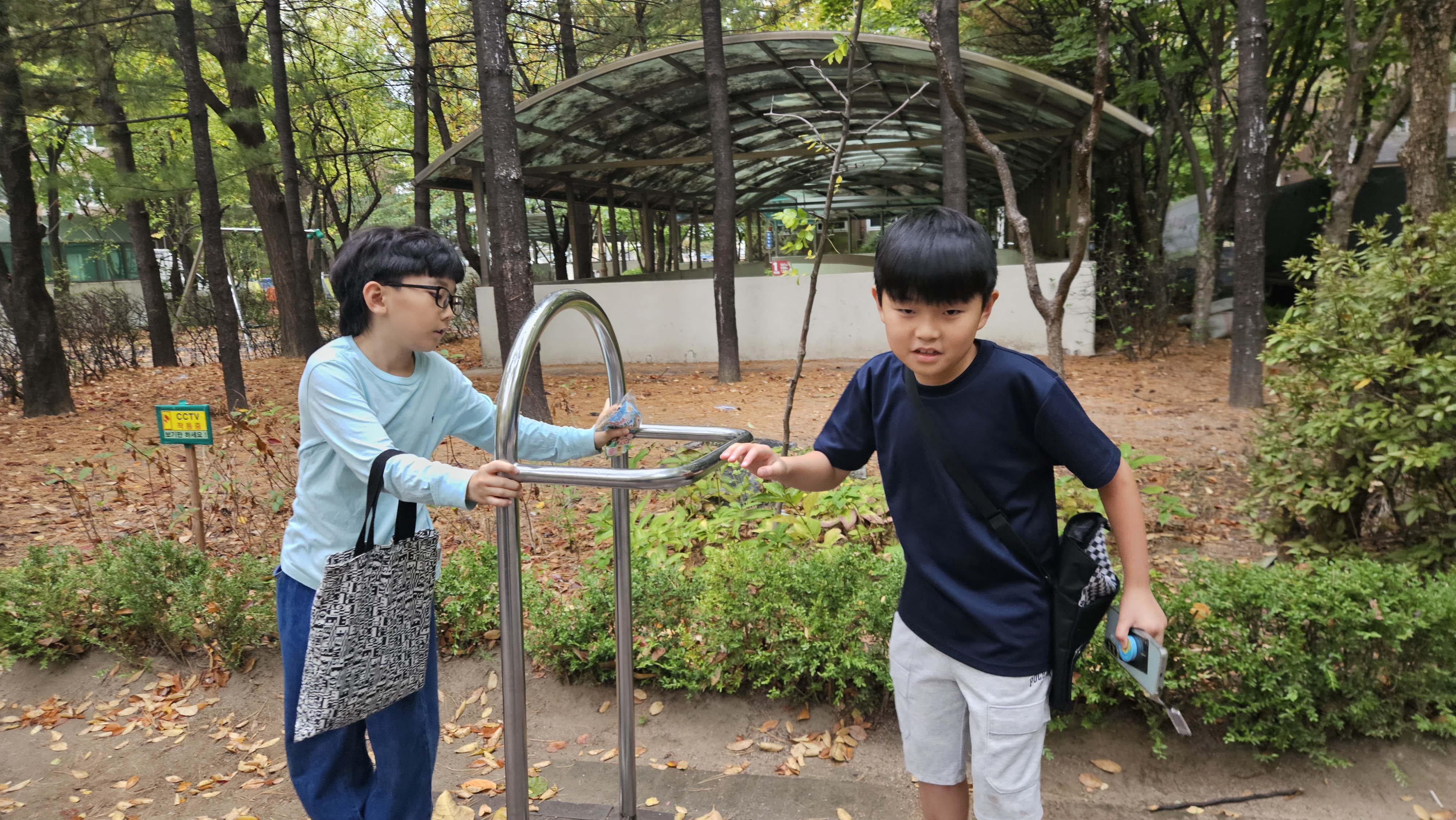 사진